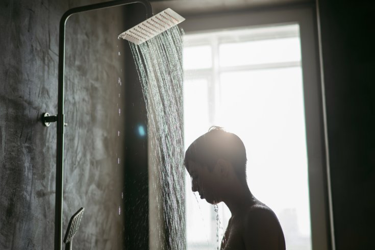 Why Does My Shower Diverter Squeal?